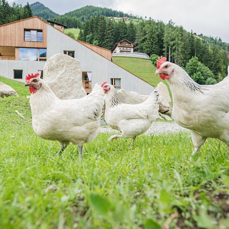 Koasa-Hof Ganzes Ferienhaus Und Sauna 5 Zimmer 240Mq Cadipietra Exteriör bild